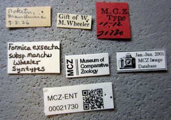 Media type: image;   Entomology 21730 Aspect: lbsa